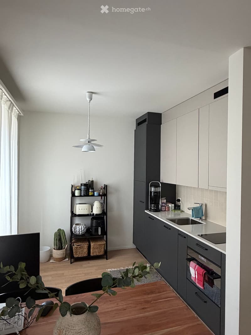 Modern kitchen with white and grey cabinets, a black refrigerator, a sink with a faucet, and a shelf with various appliances and items. A small table with a vase and plant is visible, along with a chair and a cactus in a pot.