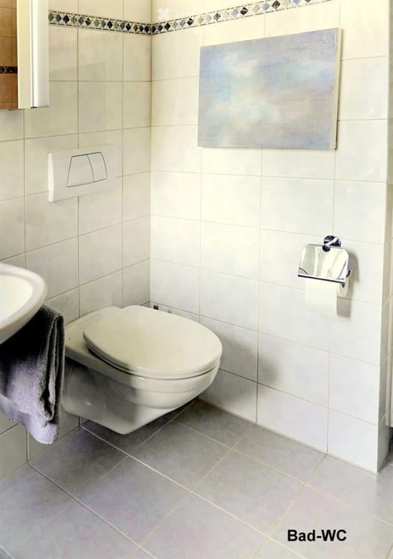 Modern bathroom with white tiles, a toilet, a sink, a towel, a mirror, and a toilet paper holder. A decorative painting is mounted on the wall.