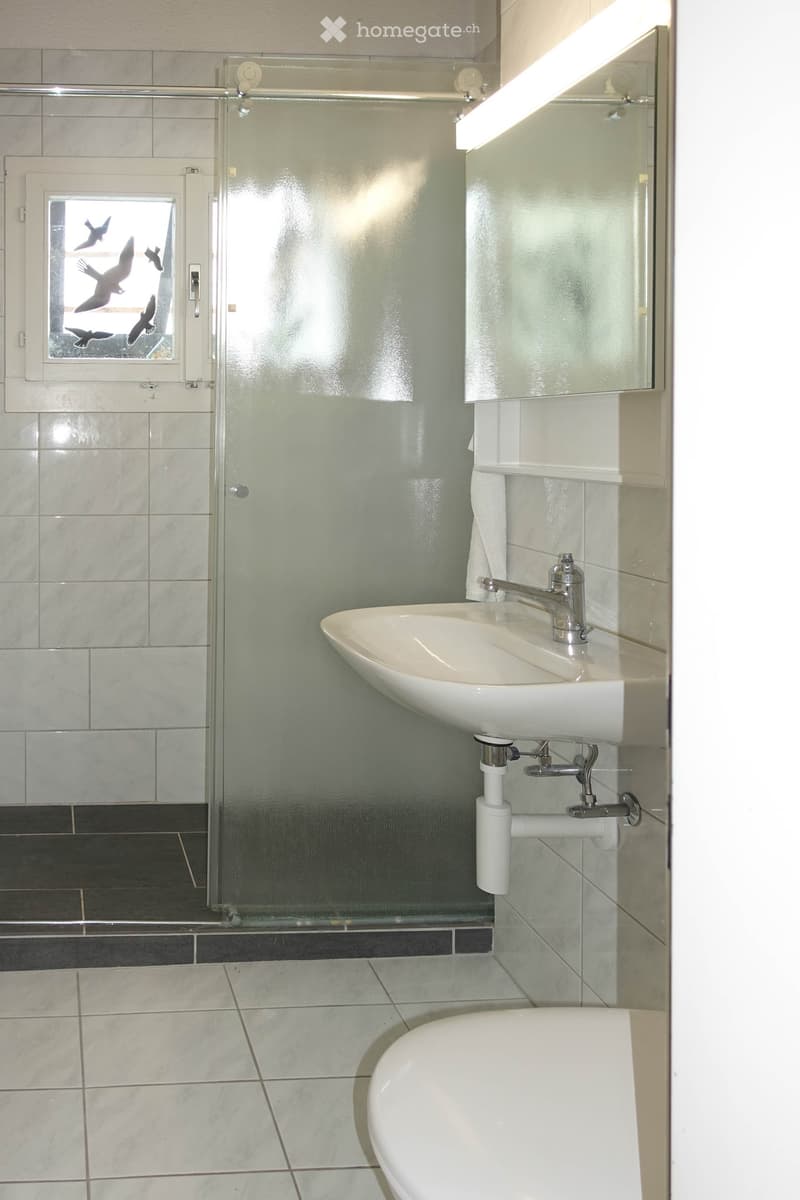 Modern bathroom with a white sink, chrome faucet, toilet, large mirror, and a glass shower enclosure with birds on the window.