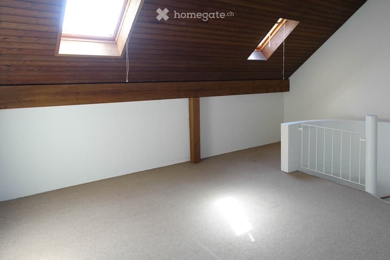 Empty attic space with wooden slanted ceiling, skylights, white walls, and carpeted floor. Features a white railing along the edge.