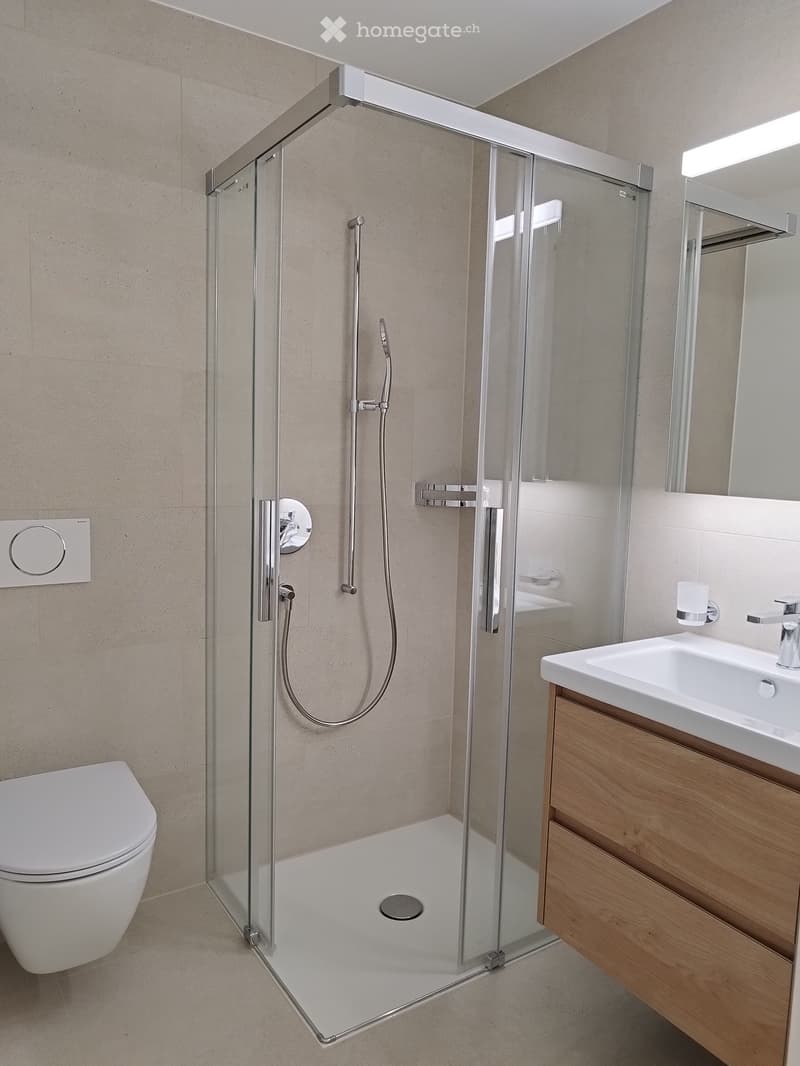 modern walk-in shower with glass walls, silver faucet, round drain, white tiles, wooden cabinet, white sink with silver faucet, white toilet, illuminated mirror