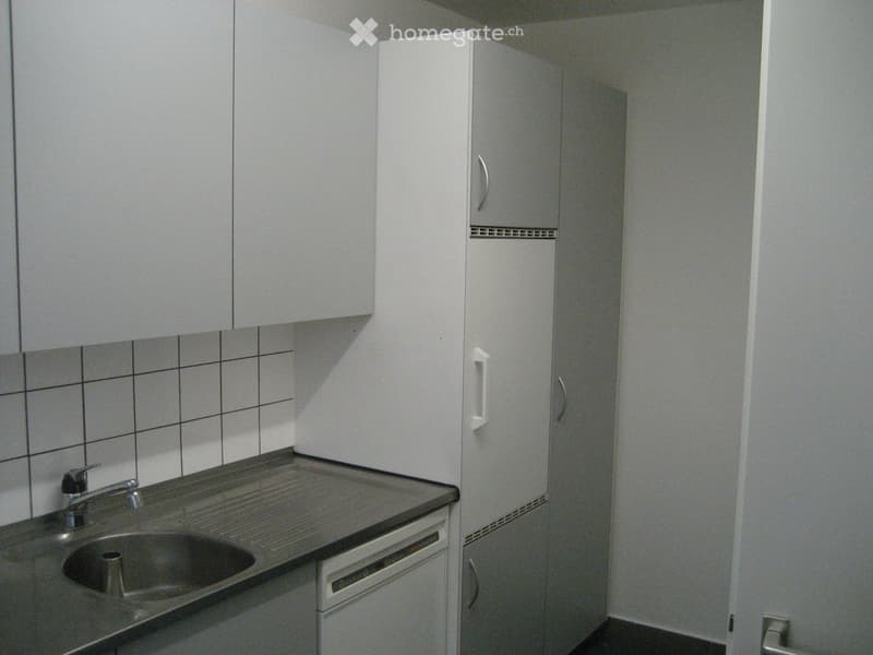 Modern kitchen with white cabinets, a stainless steel sink, and a built-in dishwasher. The countertop is tiled, and the backsplash is also tiled.