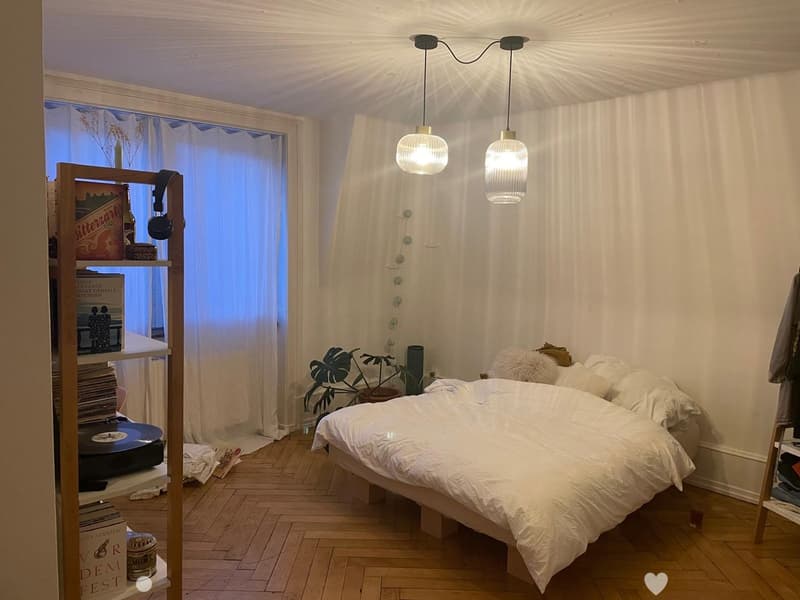 Cozy bedroom with a large bed, pendant lights, a wooden shelf with books and records, and a potted plant near the window.