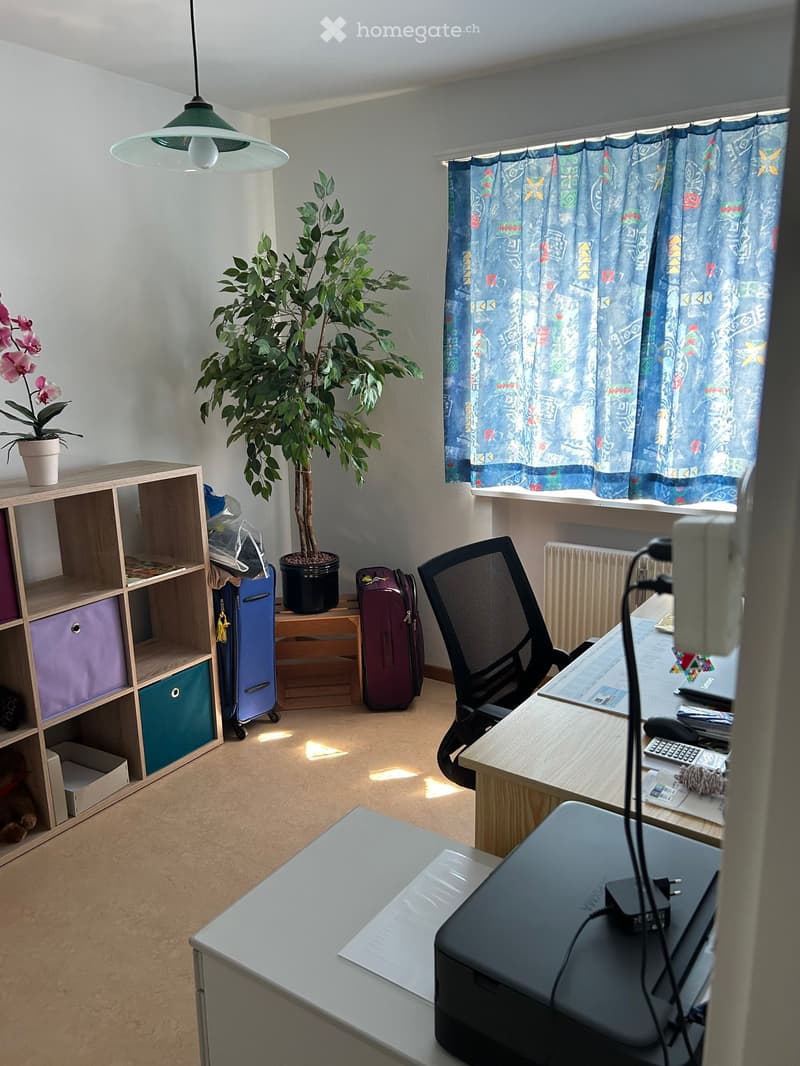 A furnished room with a desk, chair, laptop, printer, shelf, and plant. The room has a window with curtains and a radiator below it.