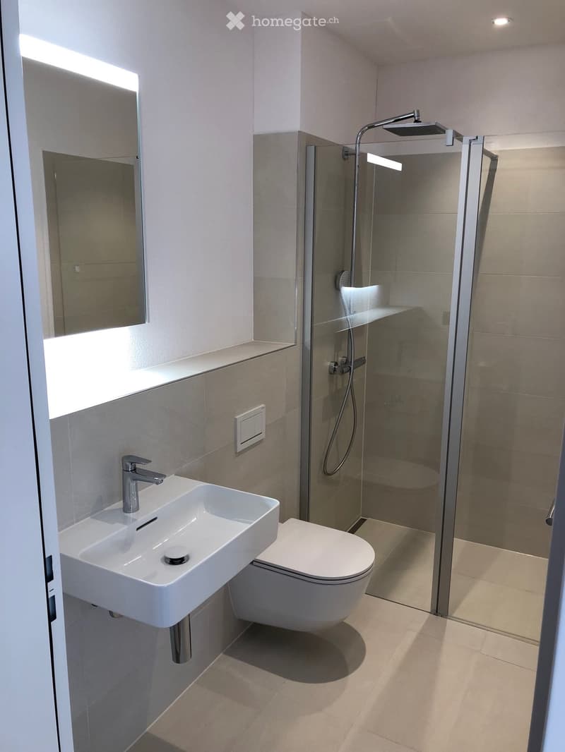 Modern bathroom with a white sink, chrome faucet, toilet, glass-enclosed shower, and a large mirror above the sink.
