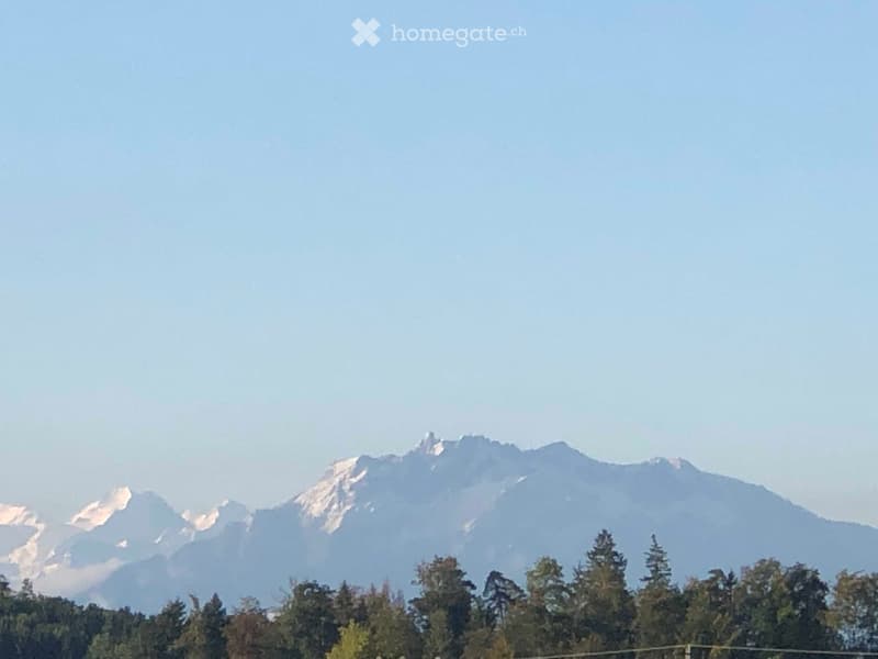 Mountain range with snow-capped peaks visible beyond a line of trees.