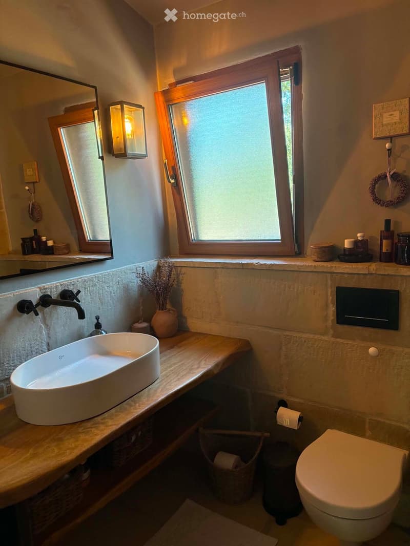Modern bathroom with a large sink, toilet, mirror, and decorative vase on the counter. Natural light from a large window illuminates the space.