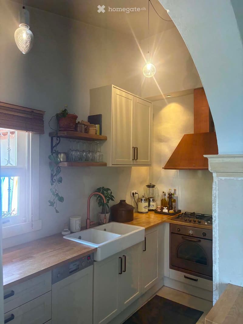 The kitchen features light-colored cabinets, a white sink with a red faucet, a stove, and an oven. There are various kitchen items on the countertops, including a blender, bottles, and a potted plant. The space is well-lit with hanging lights and has wood