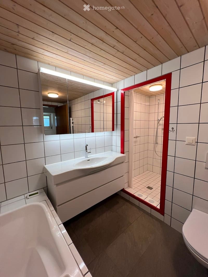 Modern bathroom with white tiled walls, a large sink with a mirror, a bathtub, a toilet, and a separate shower area with red framing.