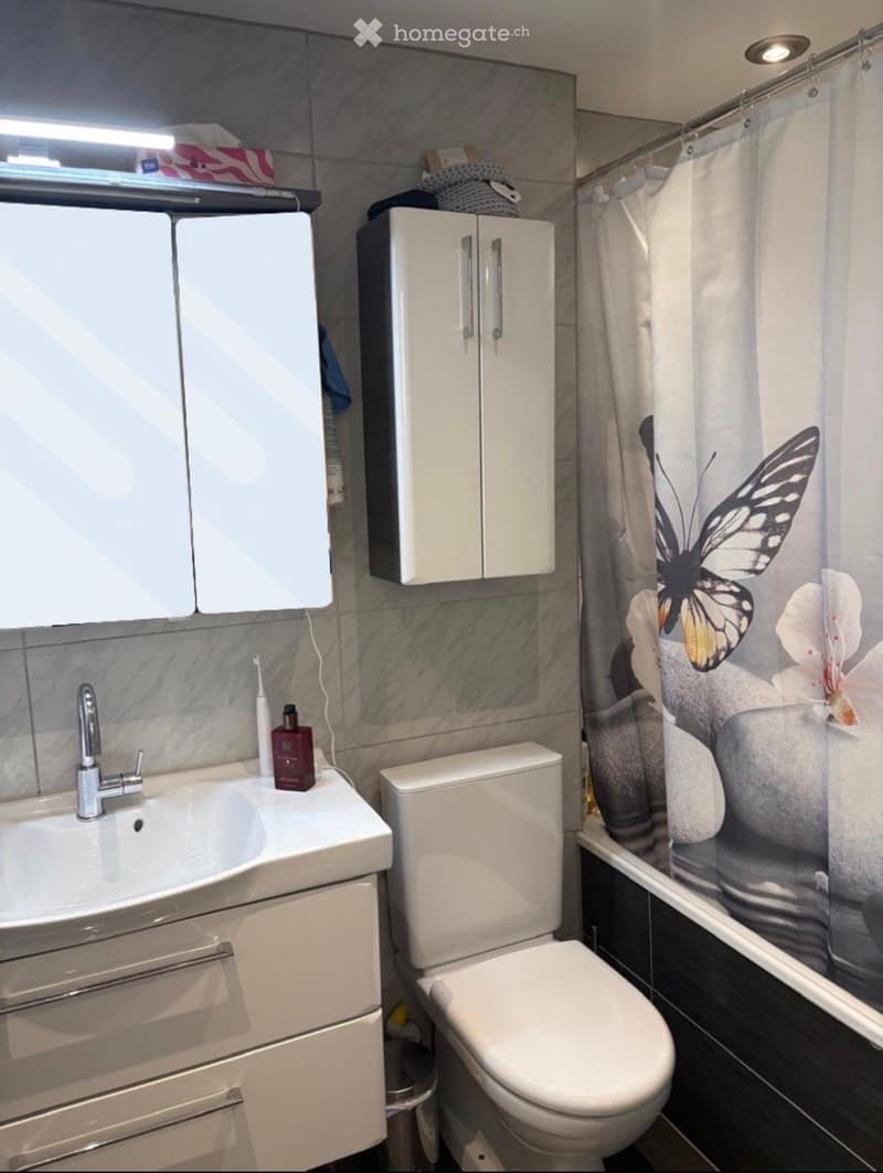 Modern bathroom with a white sink, toilet, mirrored cabinet, and a shower with a decorative curtain featuring a butterfly design.