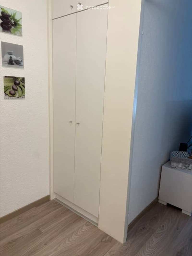 Empty room with light-colored wooden flooring and white built-in closet. Three framed pictures are mounted on the wall to the left of the closet.