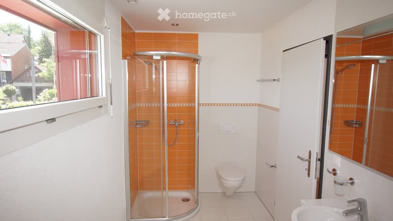 Modern bathroom with orange tiled shower stall, white toilet, sink, and large window providing natural light.