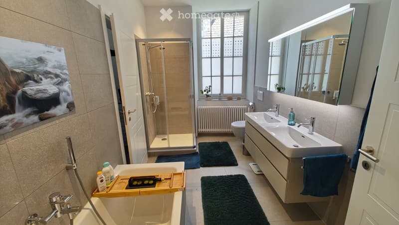 Modern bathroom with a bathtub, double sink, toilet, shower, large mirror, and a picture on the wall.
