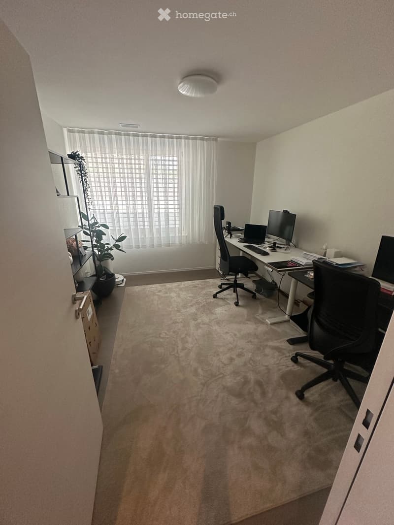 A well-lit, furnished room with a desk setup, two chairs, a laptop, monitor, keyboard, mouse, and a potted plant near the window.