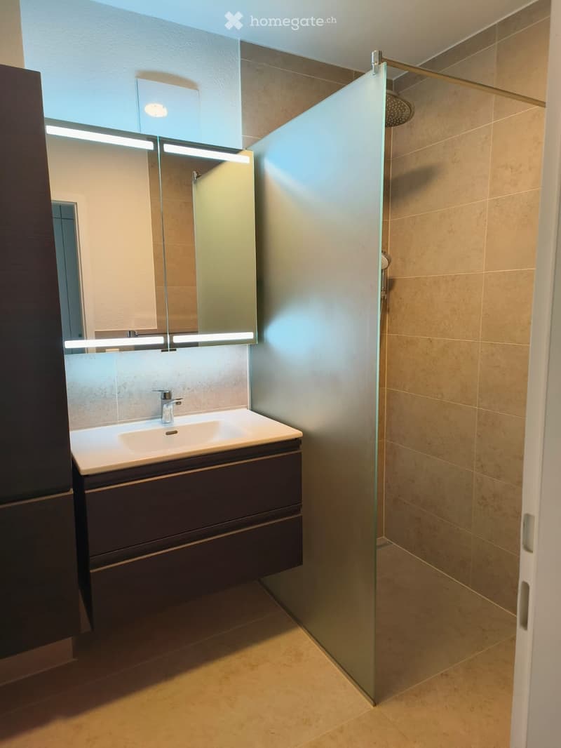 Modern bathroom with a white sink, dark wooden cabinet, large mirror with built-in lighting, and a glass-enclosed shower area.