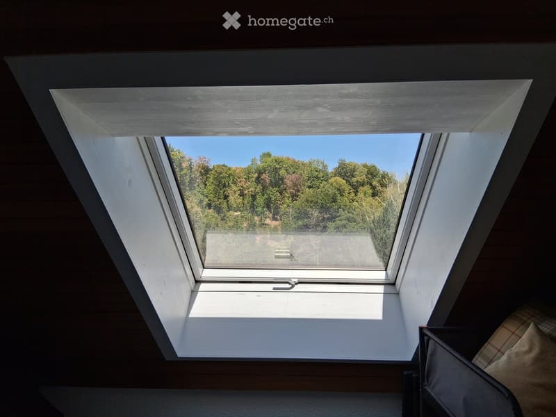 A skylight window with a view of trees and a clear blue sky, wooden walls, and a cushion visible in the corner.