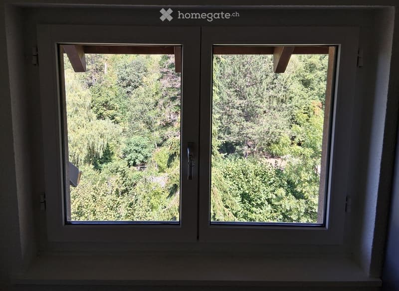 Two windows with white frames and glass panes, offering a view of a lush green forest and trees outside.