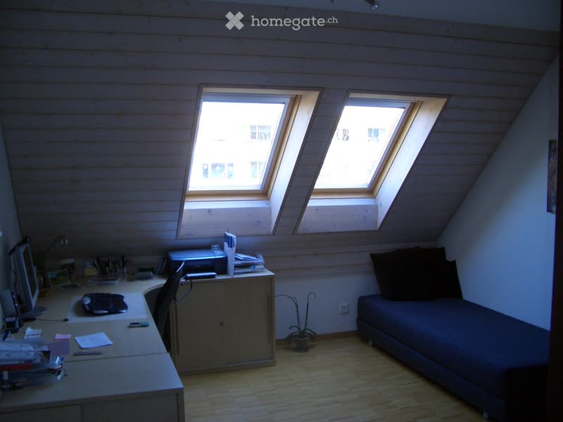 A multi-functional room with a slanted wooden ceiling, skylights, a sofa, a desk with a computer, and a printer. The room features a small potted plant and a chair near the desk.