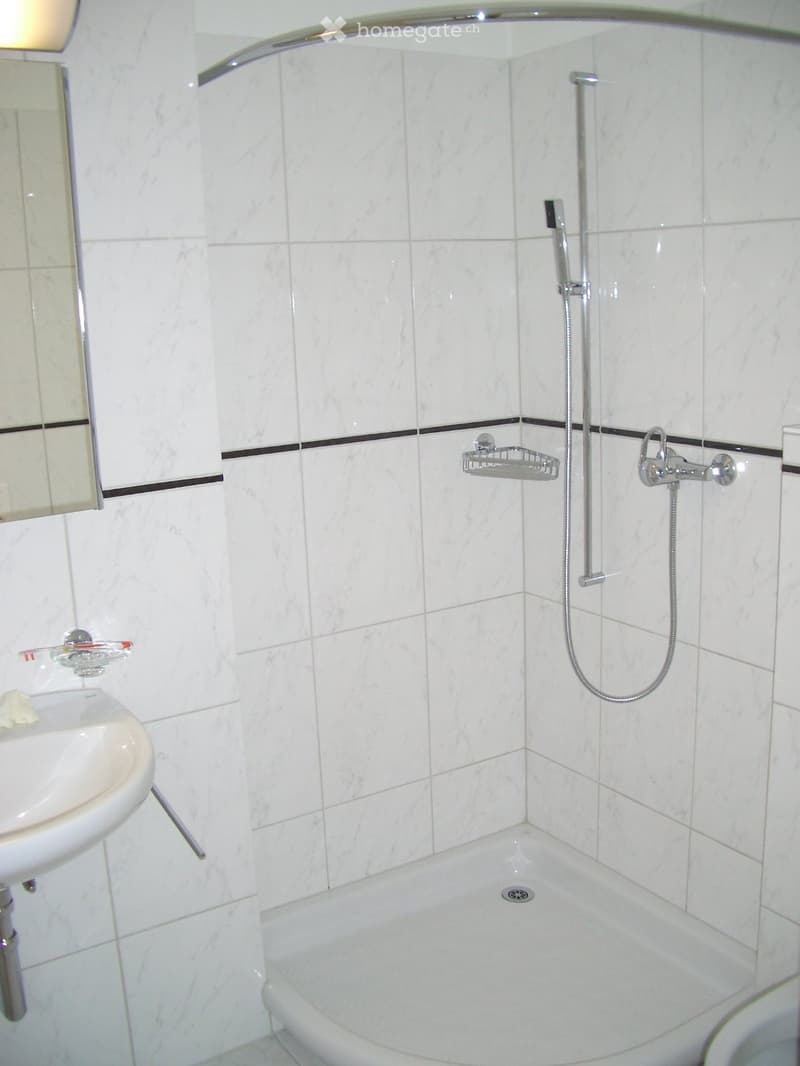 Modern bathroom with white marble tiles, a corner shower, a sink with a mirror, and a shower rack.