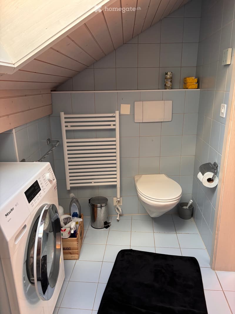 Compact bathroom with a toilet, washing machine, radiator, and cleaning supplies. Features light blue tiles, a black bath mat, and a small shelf with cleaning products.