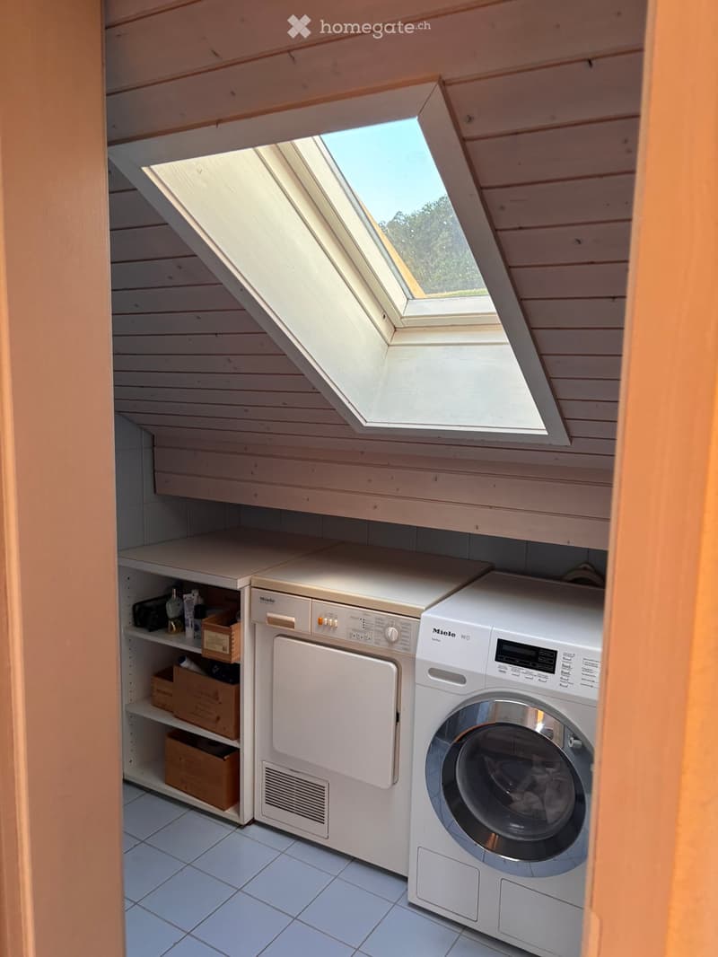 A small, well-lit laundry room with a skylight, featuring a washing machine, dishwasher, and wooden shelves.