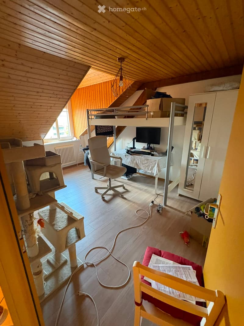 A well-lit attic room with wooden beams, a bunk bed, a desk with a laptop, a cat tree, and a cozy seating area.