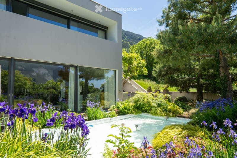 Modern house with large windows and a swimming pool surrounded by lush garden with irises and other plants.