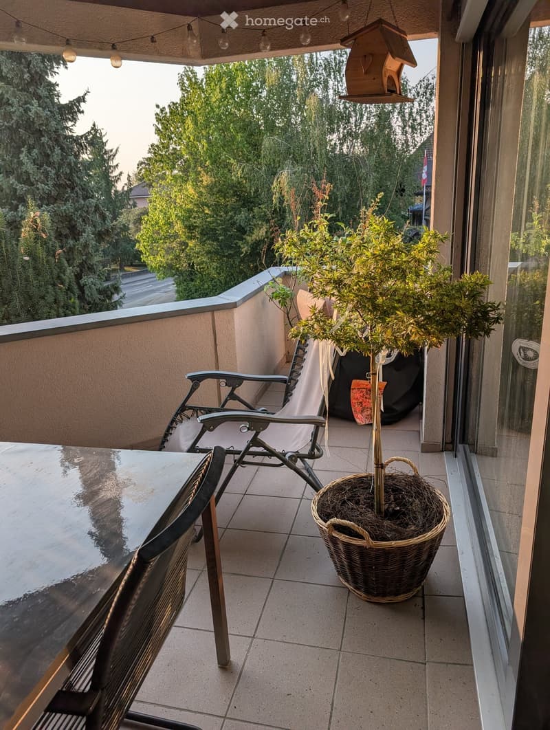 Balcony with a table, chairs, a potted plant in a wicker basket, and a hanging birdhouse. The balcony has a tiled floor and overlooks a green, tree-lined street.