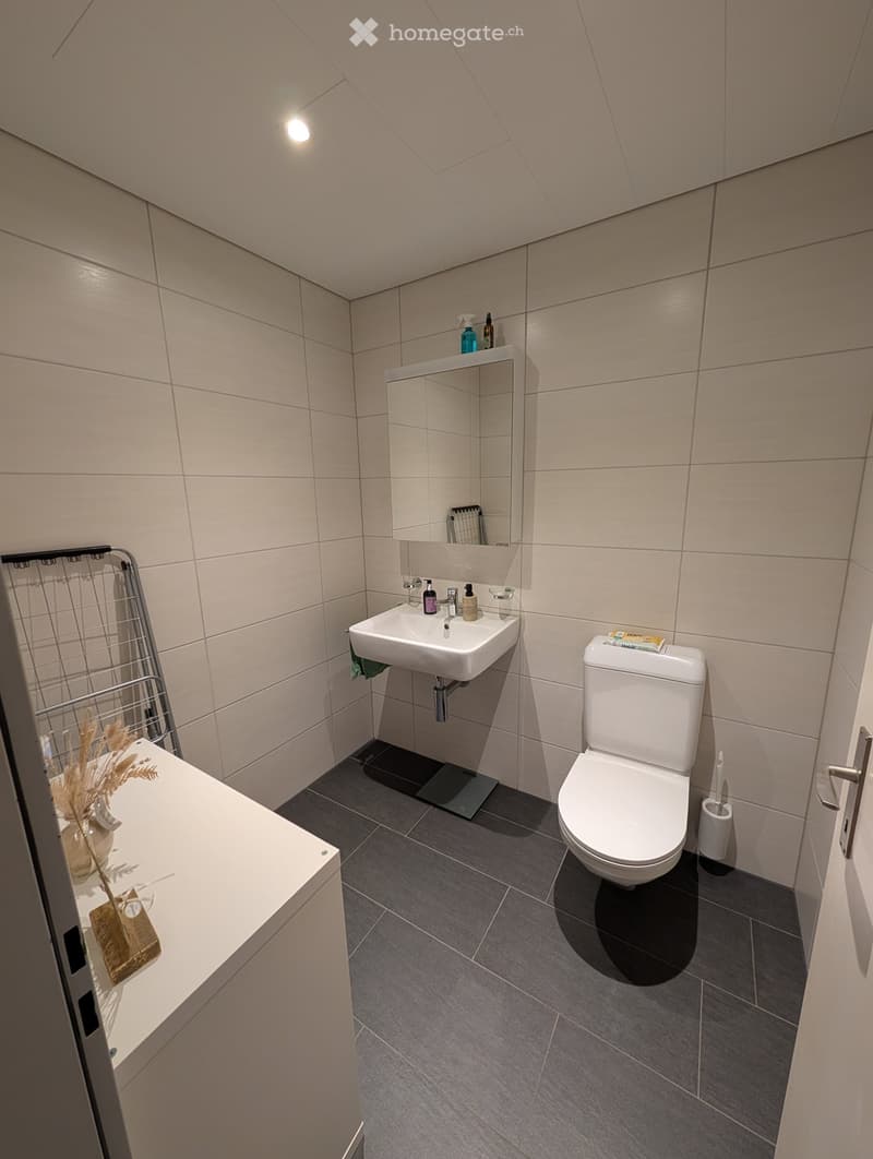 Modern bathroom with a white sink, toilet, mirror, and a small vase on a white shelf. The walls are tiled in light beige, and the floor is dark grey.