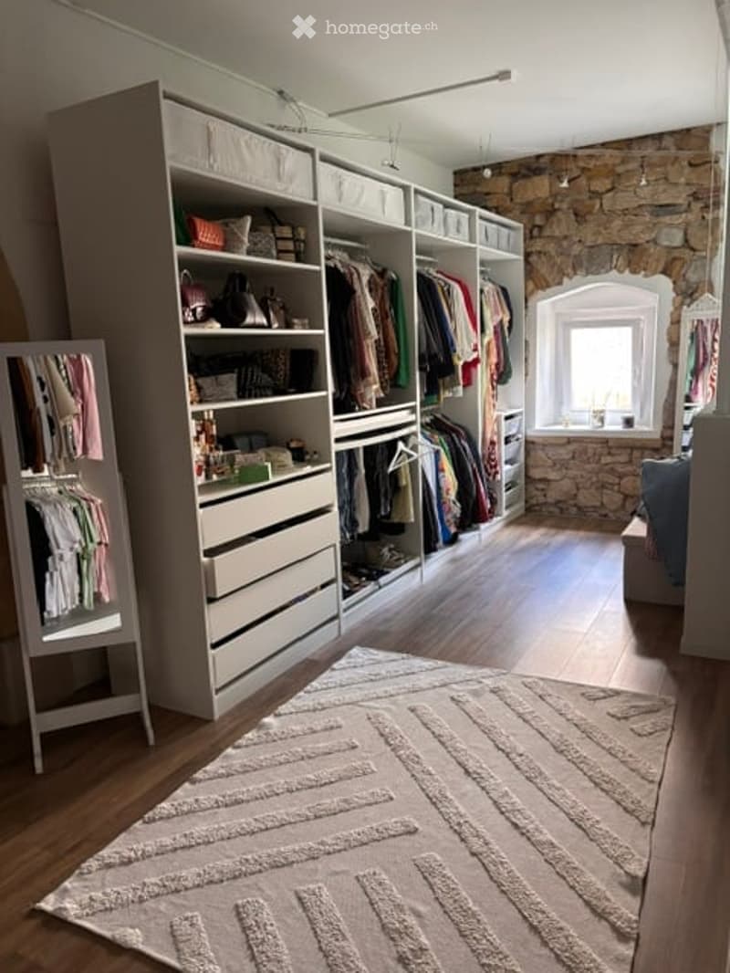 A well-organized walk-in closet with a large wardrobe, a mirror, and a patterned rug on a wooden floor.