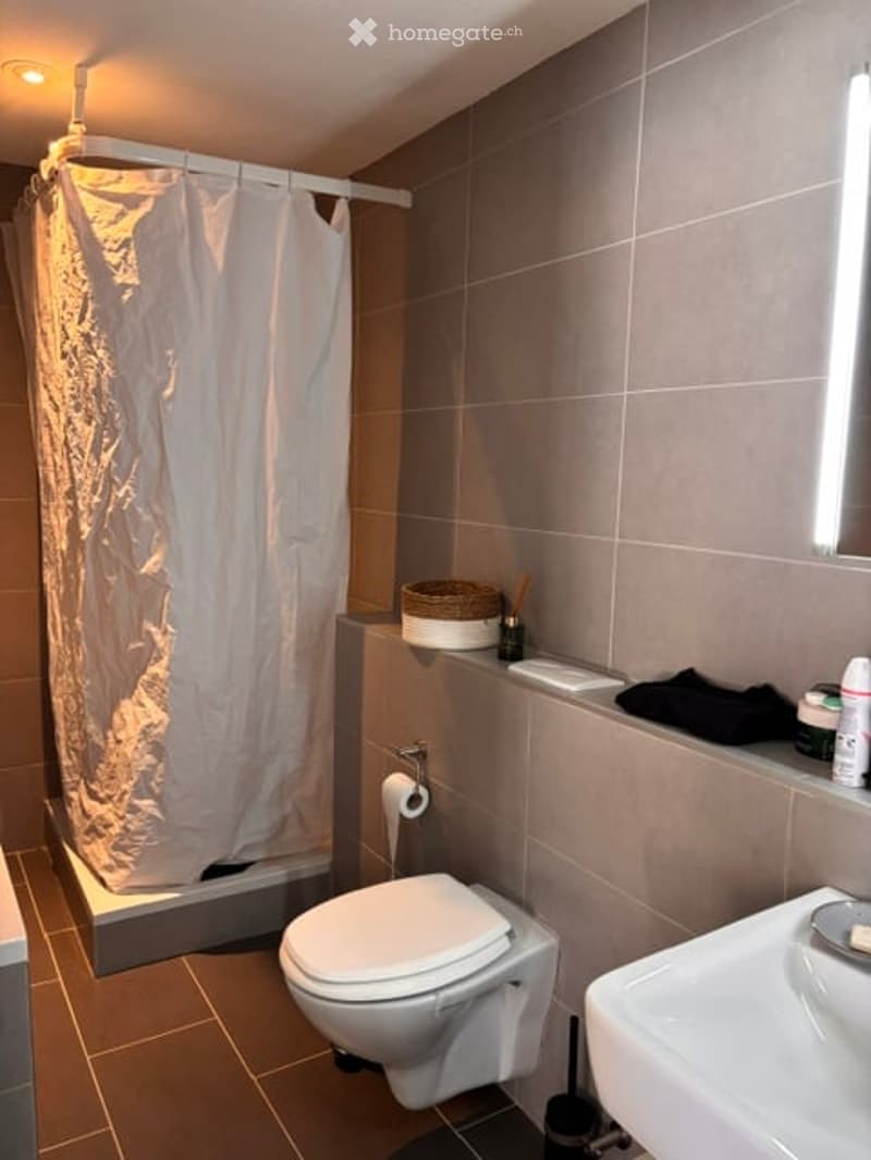 Modern bathroom with a toilet, sink, and shower area. Features include a white shower curtain, a toilet paper holder, a small basket on the counter, and a light fixture on the wall.
