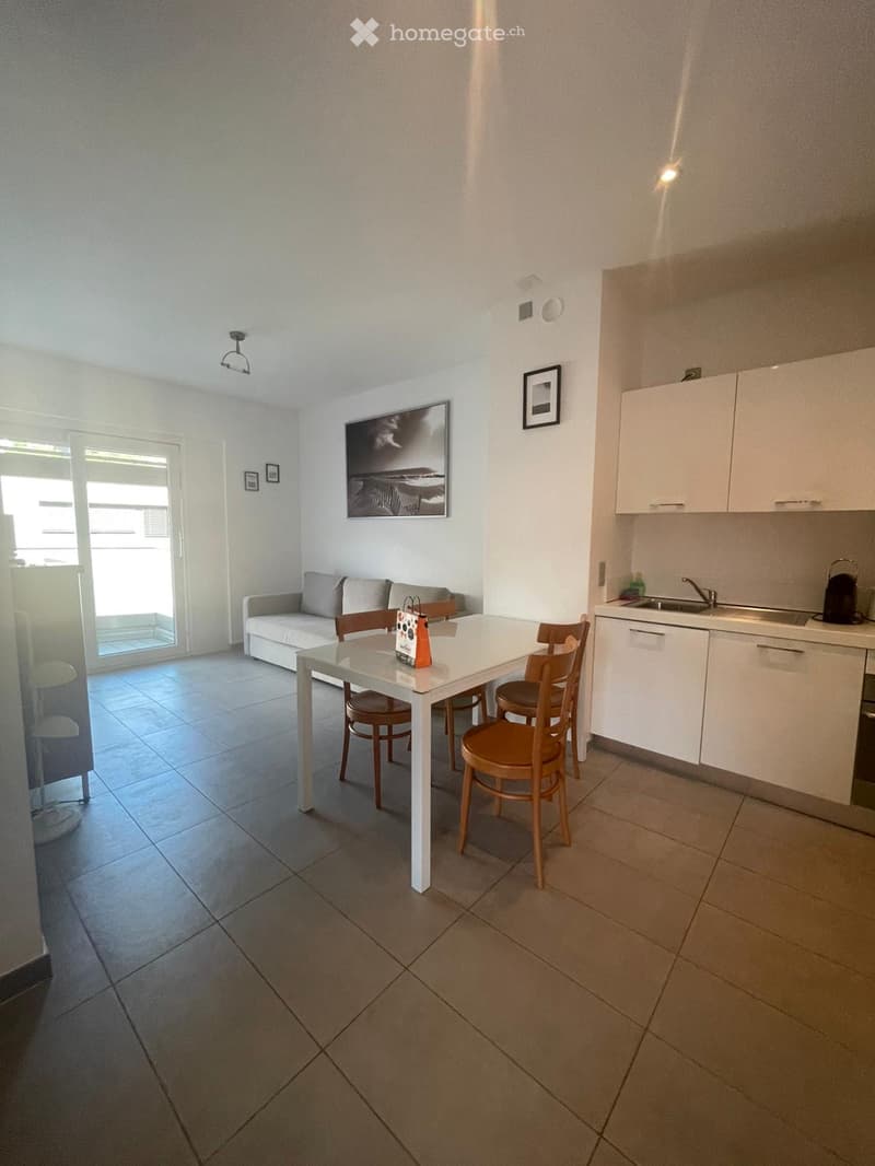 Modern open-plan living and dining area with a sofa, dining table, chairs, and a compact kitchen area with cabinets and a sink.