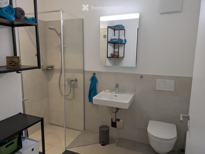 Modern bathroom with a white sink, toilet, glass-enclosed shower, and a mirrored cabinet with shelves. Beige tiles and a black shelf with towels are visible.