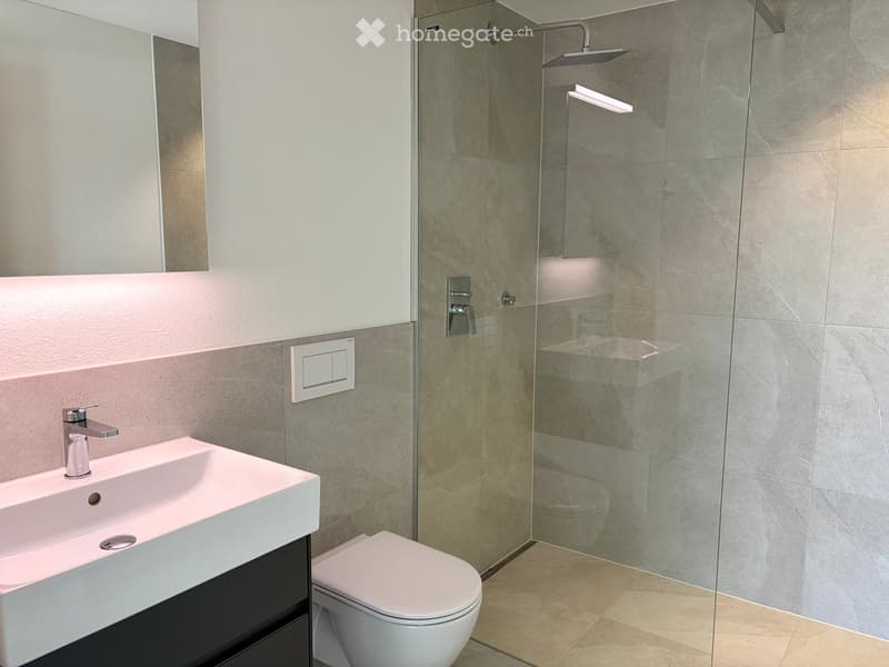 Modern bathroom with a white sink, chrome faucet, toilet, glass-enclosed shower, and a large mirror above the sink.