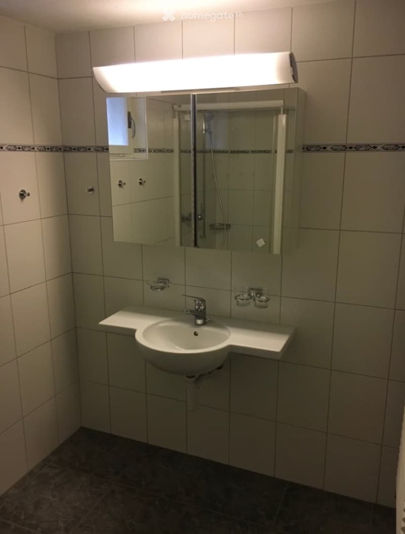 Einliegerwohnung in Schwyz (7)