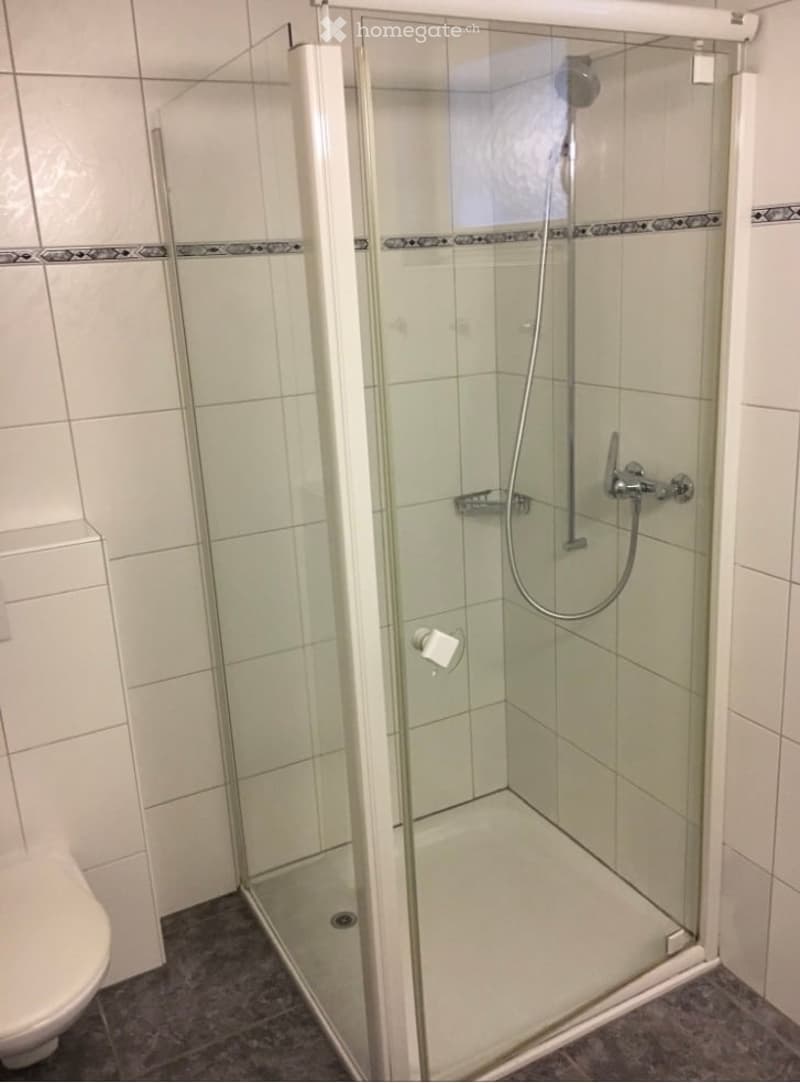Einliegerwohnung in Schwyz (8)