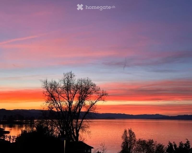 Serene outdoor view of a lake at sunset, with a tree in the foreground and distant hills under a colorful sky.