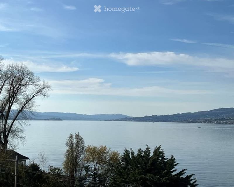 Scenic view of a lake with distant mountains, clear blue sky, and surrounding trees.