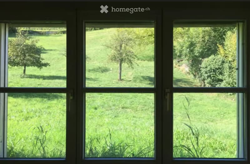 View through large windows of a green, grassy field with scattered trees and bushes.