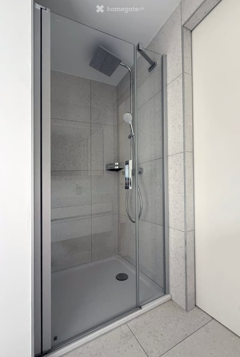 Modern shower stall with a glass enclosure, a handheld showerhead, and a fixed overhead showerhead. The walls are tiled in a light grey color, and the floor is also tiled.