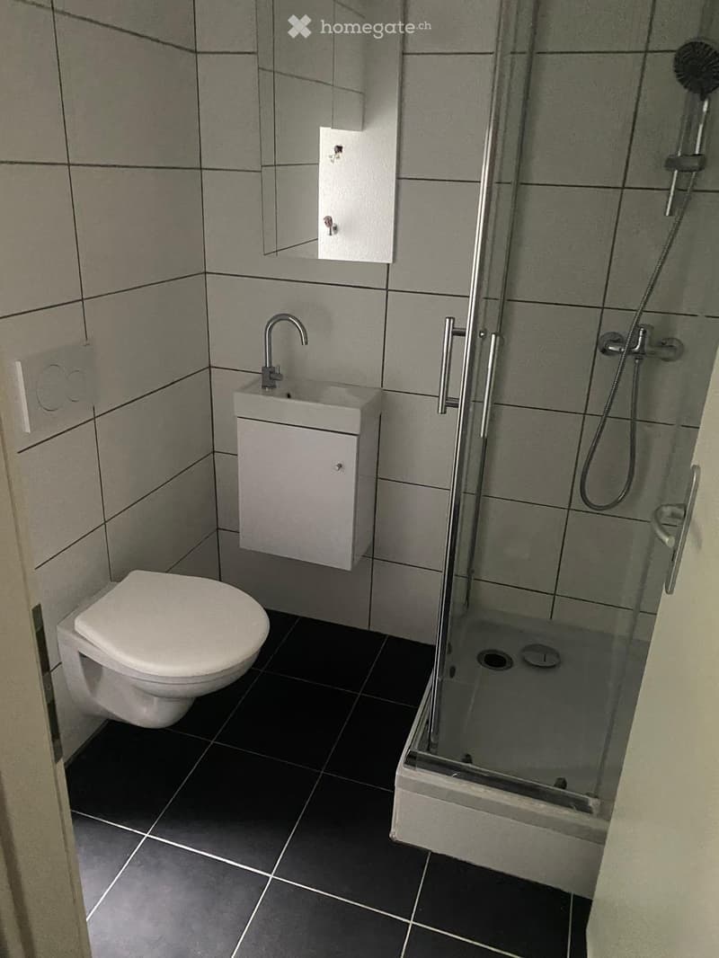 Modern bathroom with grey tiles, a toilet, a sink with a mirror, and a glass-enclosed shower area.