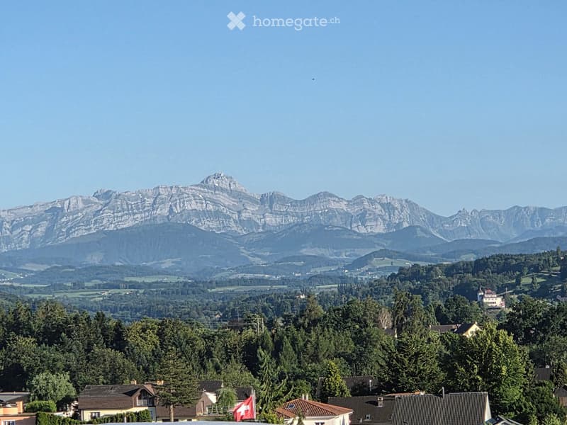 A panoramic view of a town nestled in a valley with a range of mountains in the background, featuring houses, trees, and a Swiss flag in the foreground.