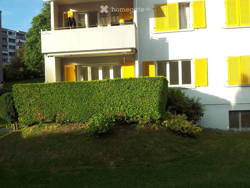 Modern white building with yellow shutters, a well-maintained hedge, and a small balcony with a railing and a few items on it.