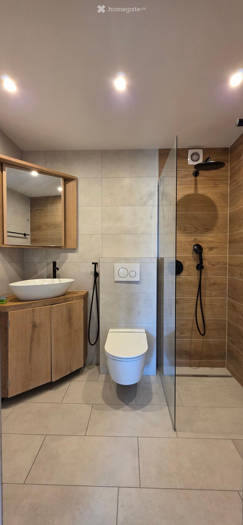 Modern bathroom with a white sink, toilet, and shower area with a glass enclosure. Features wooden cabinetry, a large mirror, and recessed lighting.