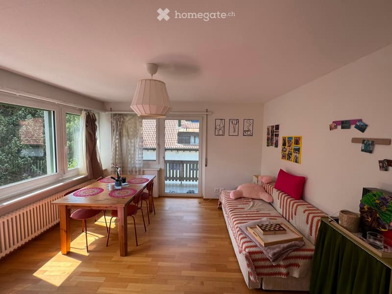 Bright living and dining area with wooden flooring, large windows, a sofa with colorful cushions, a dining table with chairs, and a hanging lamp.