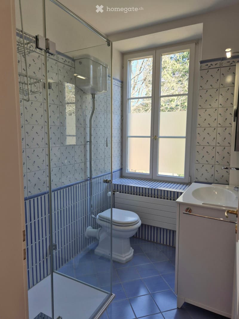White toilet, white sink, glass shower enclosure, blue and white tiles, small window