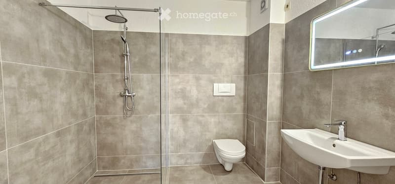 Modern bathroom with grey tiled walls, a glass-enclosed shower, a toilet, a sink with a mirror, and a modern light fixture above the mirror.