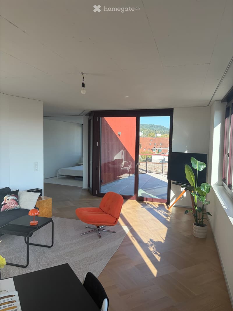 Modern living room with wooden flooring, large sliding glass doors leading to a balcony, a black sofa with decorative pillows, a small black table with a red lamp, an orange armchair, and a large potted plant near the window.