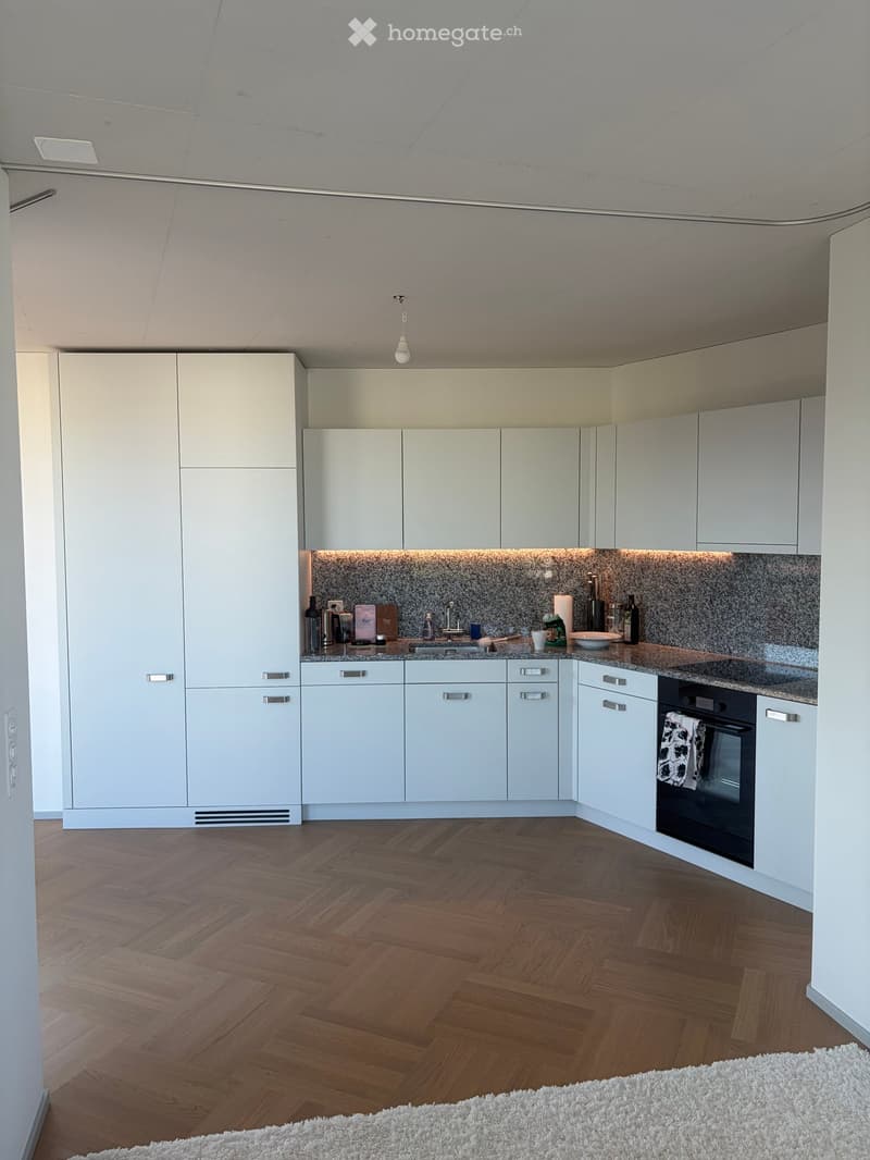 Modern kitchen with white cabinets, wooden herringbone flooring, and a granite backsplash. Features a sink, oven, and various small items on the counter.