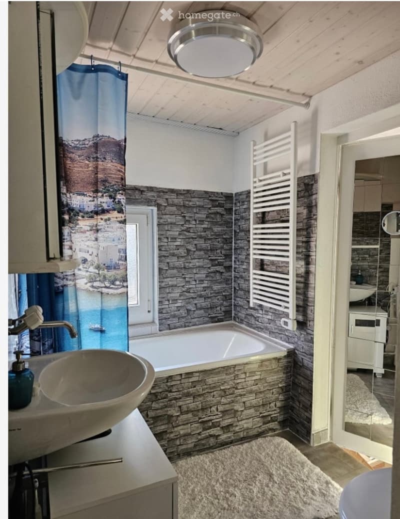 bathroom with bathtub, sink, window, wall with a mural, carpet on the floor, hanging towel rack, mirror